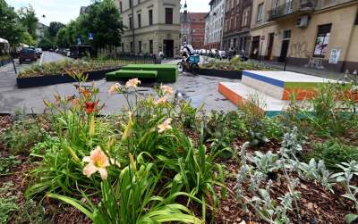 Najbardziej zielone skrzyżowanie na Kazimierzu, to dopiero początek - zdjęcie 9