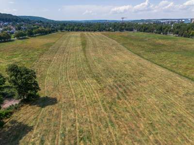 Sielskie klimaty pod Wawelem, na Błoniach zaczęły się sianokosy - zdjęcie 5