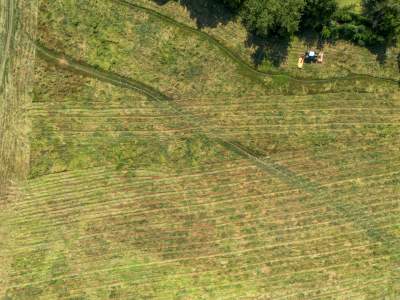Sielskie klimaty pod Wawelem, na Błoniach zaczęły się sianokosy - zdjęcie 6