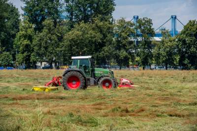 Sielskie klimaty pod Wawelem, na Błoniach zaczęły się sianokosy - zdjęcie 9