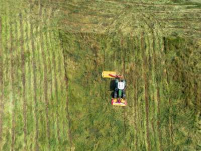 Sielskie klimaty pod Wawelem, na Błoniach zaczęły się sianokosy - zdjęcie 4