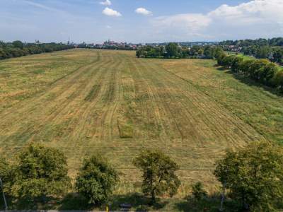 Sielskie klimaty pod Wawelem, na Błoniach zaczęły się sianokosy - zdjęcie 7