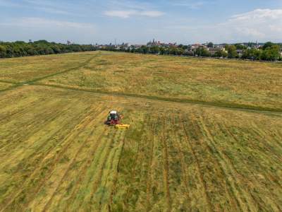 Sielskie klimaty pod Wawelem, na Błoniach zaczęły się sianokosy - zdjęcie 2