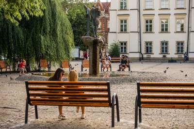 Plac Wolnica się zmienia, są nowe ławki, będzie więcej zieleni - zdjęcie 16