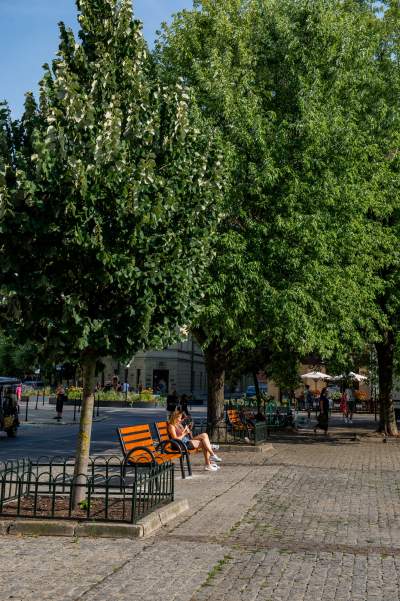 Plac Wolnica się zmienia, są nowe ławki, będzie więcej zieleni - zdjęcie 23
