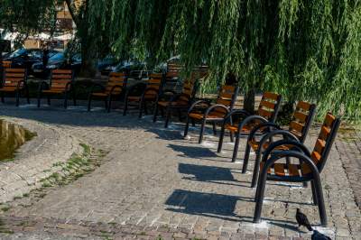 Plac Wolnica się zmienia, są nowe ławki, będzie więcej zieleni - zdjęcie 9