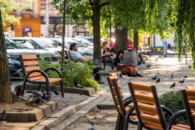Plac Wolnica się zmienia, są nowe ławki, będzie więcej zieleni - zdjęcie 17