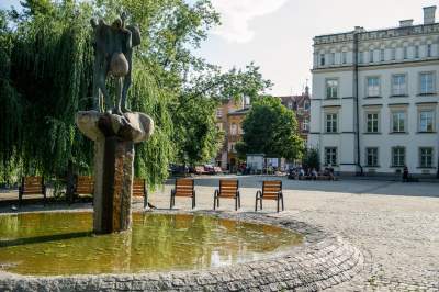 Plac Wolnica się zmienia, są nowe ławki, będzie więcej zieleni - zdjęcie 24