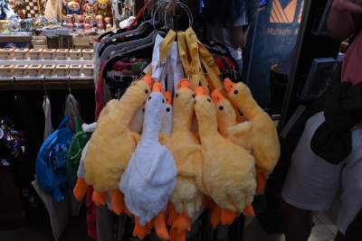 Święto Sukiennic, a na straganie... żółta gęś Pipa - zdjęcie 9