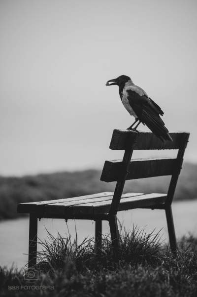 Podgórze ulubione, te miejsca przyciągają miłośników fotografowania - zdjęcie 7