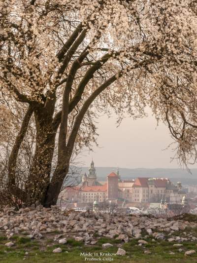 Made in Kraków, piękne, unikatowe zdjęcia Krakowa - zdjęcie 19