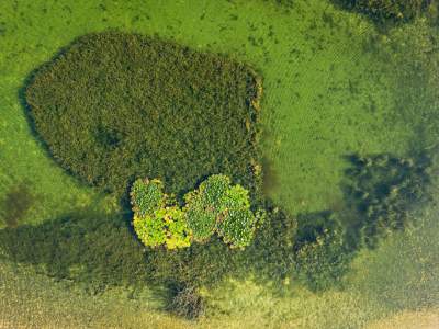 Przyjemnie tu uciec przed upałem, zielone "krakowskie Malediwy" - zdjęcie 10