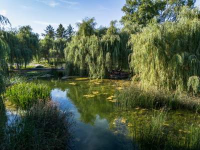 Przyjemnie tu uciec przed upałem, zielone "krakowskie Malediwy" - zdjęcie 17