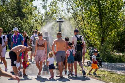 Znów trzeba było odstać ze trzy godziny, na dzikiej plaży trudno znaleźć miejsce - zdjęcie 3