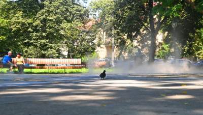 Fontanna na placu Axentowicza znów działa, tu można schładzać się bez obaw - zdjęcie 14