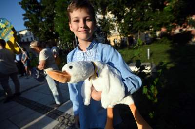 Marsz Wolnej Ukrainy przeszedł przez Kraków, solidarni z walczącym narodem - zdjęcie 2