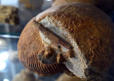 To miejsce stworzył zapalony poszukiwacz skarbów, zgromadził ich tysiące - zdjęcie 16