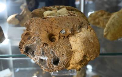 To miejsce stworzył zapalony poszukiwacz skarbów, zgromadził ich tysiące - zdjęcie 14