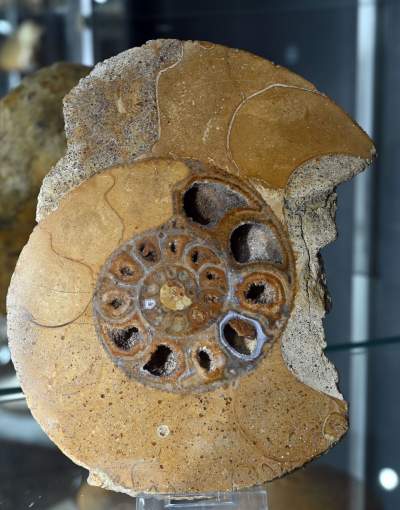 To miejsce stworzył zapalony poszukiwacz skarbów, zgromadził ich tysiące - zdjęcie 15