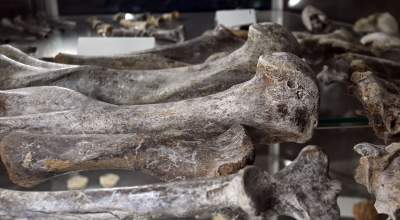 To miejsce stworzył zapalony poszukiwacz skarbów, zgromadził ich tysiące - zdjęcie 18