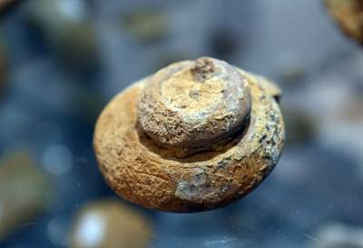 To miejsce stworzył zapalony poszukiwacz skarbów, zgromadził ich tysiące - zdjęcie 7