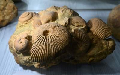 To miejsce stworzył zapalony poszukiwacz skarbów, zgromadził ich tysiące - zdjęcie 17