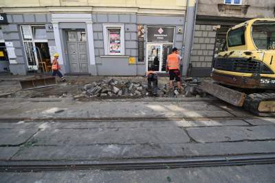 Ze Zwierzynieckiej znikają drzewa i... kocie łby, miłorzęby trafią do Przegorzał - zdjęcie 12