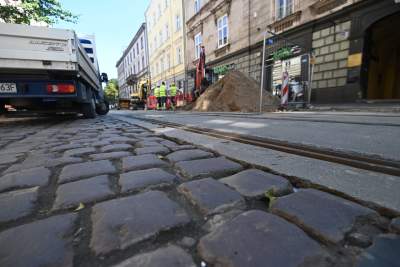 Ze Zwierzynieckiej znikają drzewa i... kocie łby, miłorzęby trafią do Przegorzał - zdjęcie 2