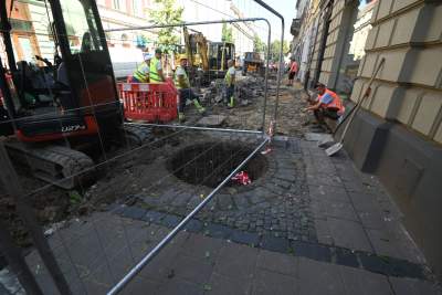 Ze Zwierzynieckiej znikają drzewa i... kocie łby, miłorzęby trafią do Przegorzał - zdjęcie 5