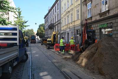 Ze Zwierzynieckiej znikają drzewa i... kocie łby, miłorzęby trafią do Przegorzał - zdjęcie 6