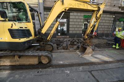 Ze Zwierzynieckiej znikają drzewa i... kocie łby, miłorzęby trafią do Przegorzał - zdjęcie 4