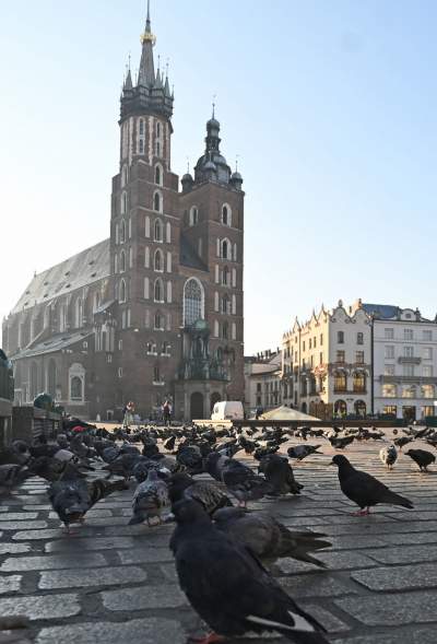 Rynek Główny o poranku, godzina szósta minut trzydzieści... - zdjęcie 2