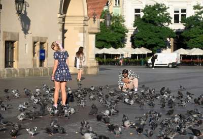 Rynek Główny o poranku, godzina szósta minut trzydzieści... - zdjęcie 9