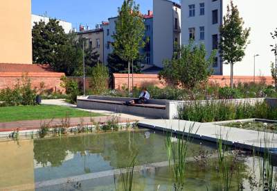 Gruszki (nie na wierzbie) można już zrywać w parku im. Szymborskiej - zdjęcie 25