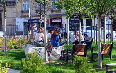 Gruszki (nie na wierzbie) można już zrywać w parku im. Szymborskiej - zdjęcie 30