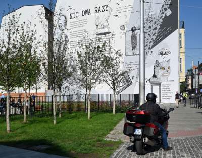 Gruszki (nie na wierzbie) można już zrywać w parku im. Szymborskiej - zdjęcie 40