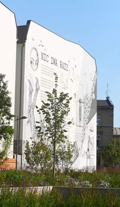 Gruszki (nie na wierzbie) można już zrywać w parku im. Szymborskiej - zdjęcie 27