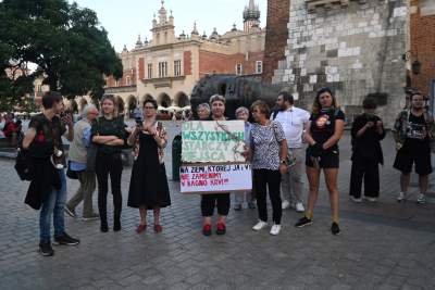 Specjalny pokaz filmu "Zielona granica", protesty zwolenników i przeciwników - zdjęcie 14