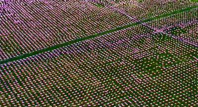 Morze Flag: wyjątkowe obchody Dnia Flagi - zdjęcie 6