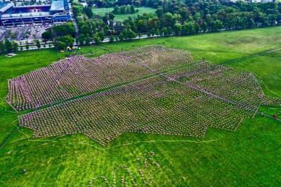 Morze Flag: wyjątkowe obchody Dnia Flagi - zdjęcie 8