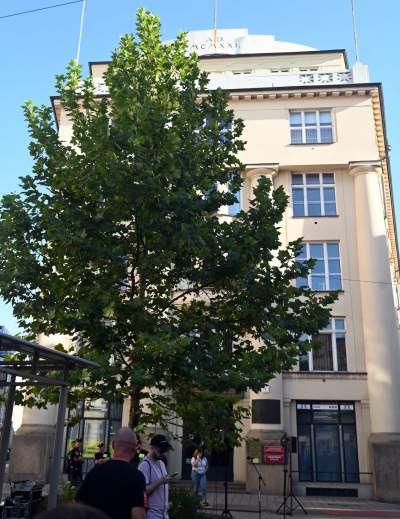 To była siedziba medialnego imperium, przypomniano o jego twórcy - zdjęcie 34