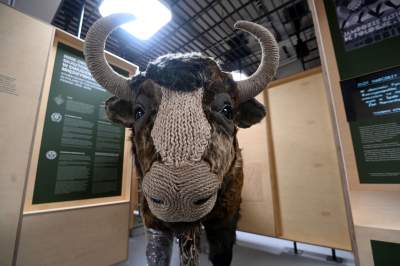 Ciekawa "harcówka" w dawnym forcie, to miejsce zainteresuje nie tylko harcerzy - zdjęcie 37