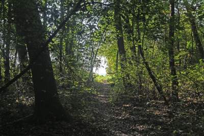 Jedno z najpiękniejszych przyrodniczo miejsc w Krakowie, tu powstaje park - zdjęcie 9
