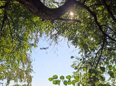 Jedno z najpiękniejszych przyrodniczo miejsc w Krakowie, tu powstaje park - zdjęcie 27