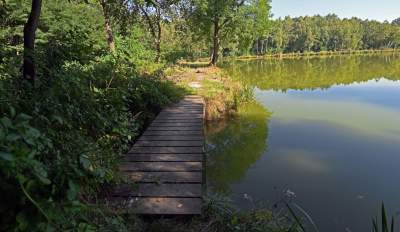 Jedno z najpiękniejszych przyrodniczo miejsc w Krakowie, tu powstaje park - zdjęcie 12