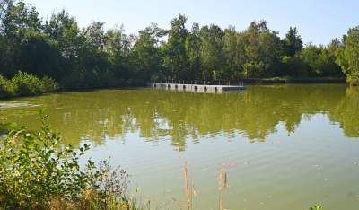 Jedno z najpiękniejszych przyrodniczo miejsc w Krakowie, tu powstaje park - zdjęcie 38