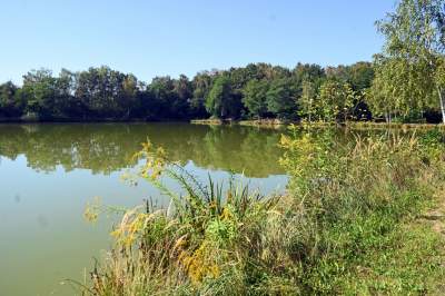 Jedno z najpiękniejszych przyrodniczo miejsc w Krakowie, tu powstaje park - zdjęcie 34