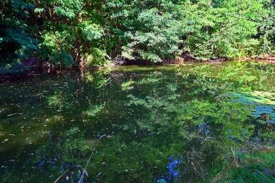 Jedno z najpiękniejszych przyrodniczo miejsc w Krakowie, tu powstaje park - zdjęcie 18