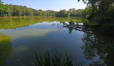 Jedno z najpiękniejszych przyrodniczo miejsc w Krakowie, tu powstaje park - zdjęcie 11