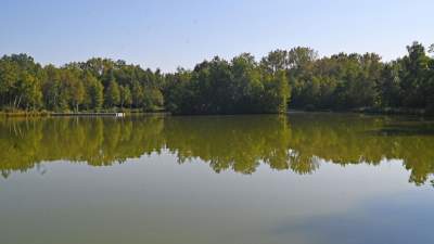 Jedno z najpiękniejszych przyrodniczo miejsc w Krakowie, tu powstaje park - zdjęcie 15